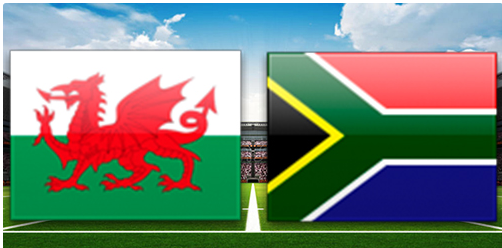 Wales vs South Africa Rugby Full Match Replay 23 November 2024 Autumn Internationals